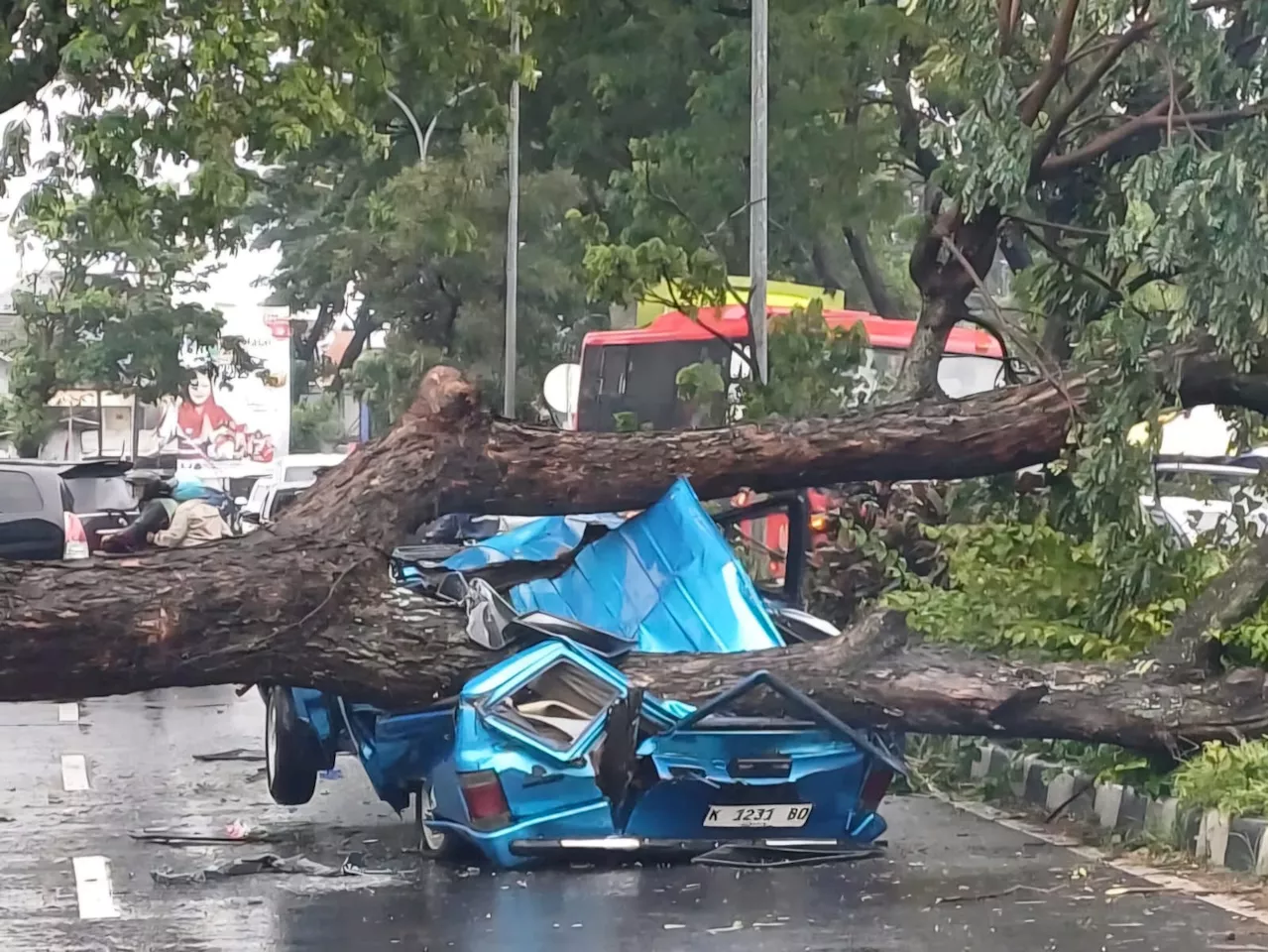 22 Ribu Pohon di Kota Semarang Jadi Fokus Perhatian di Tengah Cuaca Ekstrem