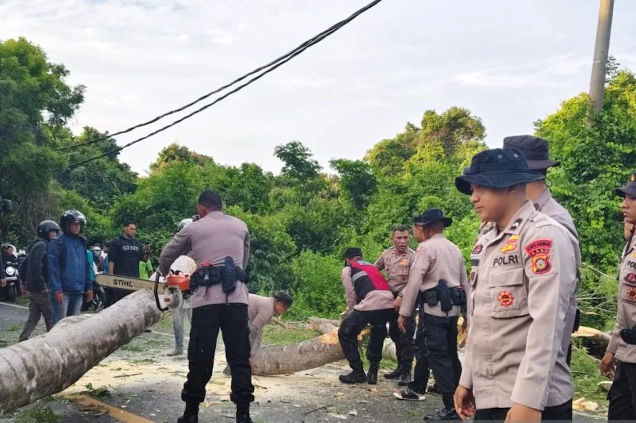 Pelajar SMA di Bali Tewas Tertimpa Pohon Akibat Angin Kencang