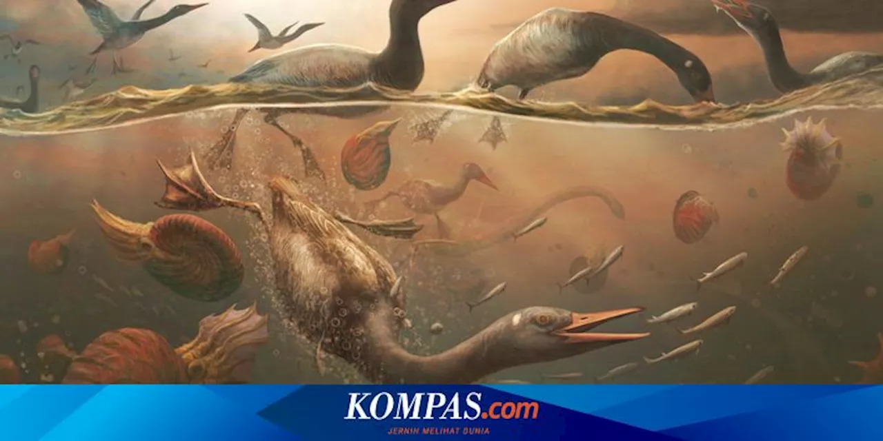 Fosil Burung Purba di Antartika Mengungkap Misteri Evolusi Burung Air Modern