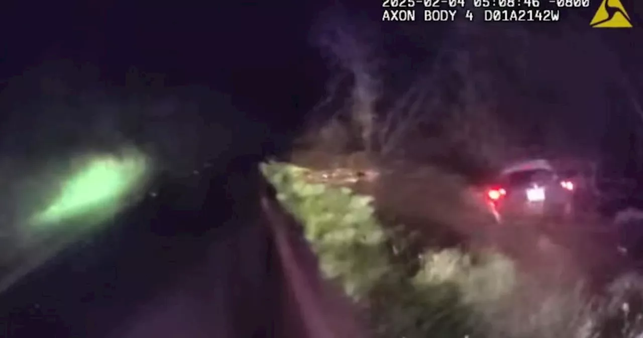 Watch: Marin County sheriff's deputy saves driver from rising flood waters