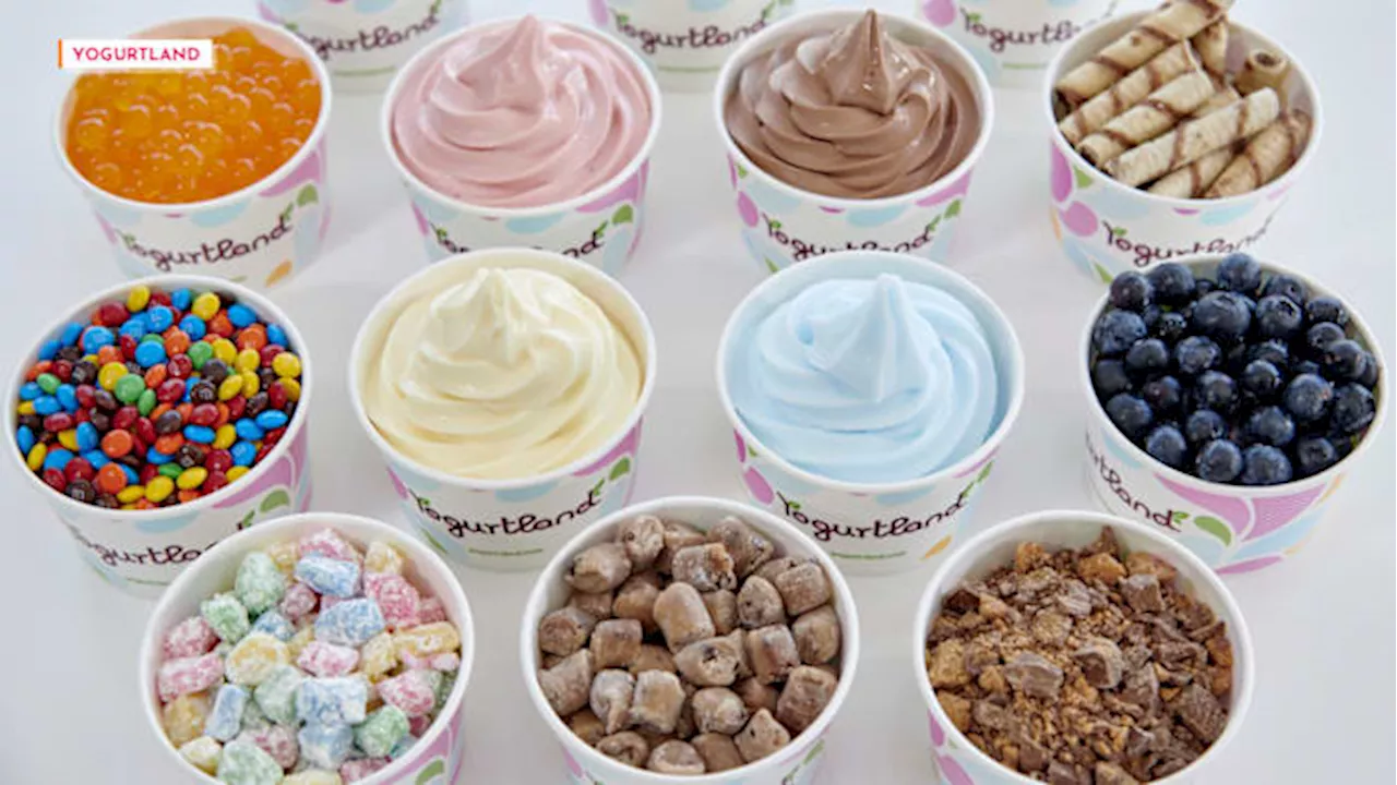 It’s National Frozen Yogurt Day! Where to celebrate today’s sweet food holiday