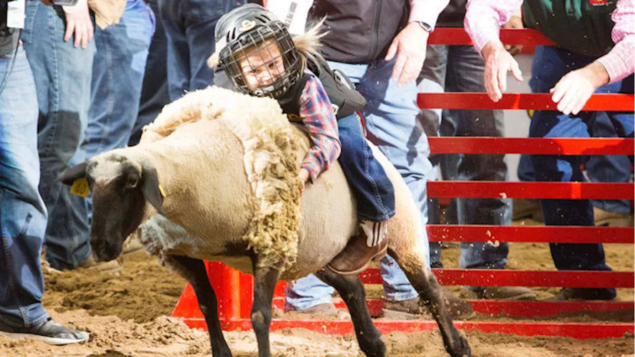 What to know about the 2025 San Antonio Stock Show & Rodeo