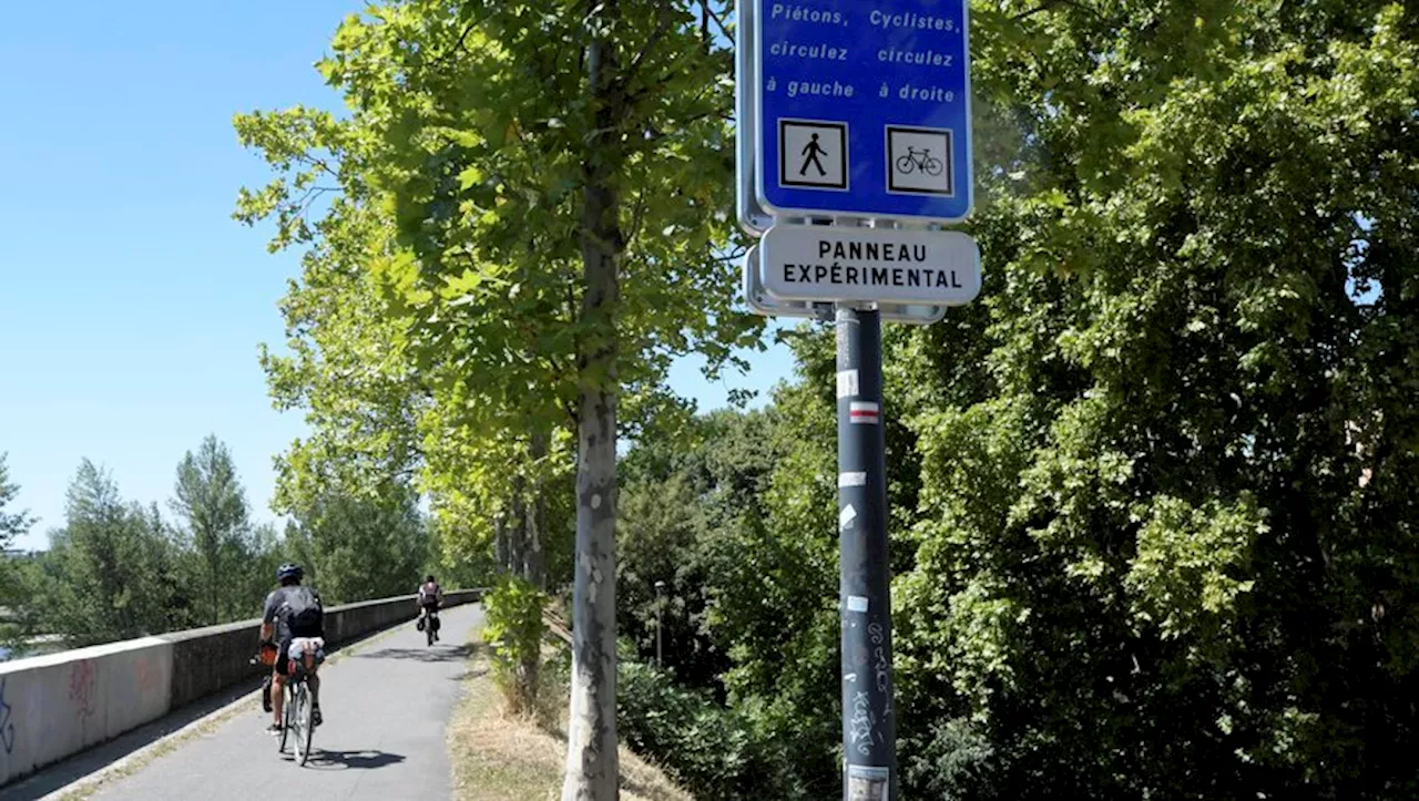 Cohabitation difficile entre cyclistes et piétons sur la digue de Toulouse