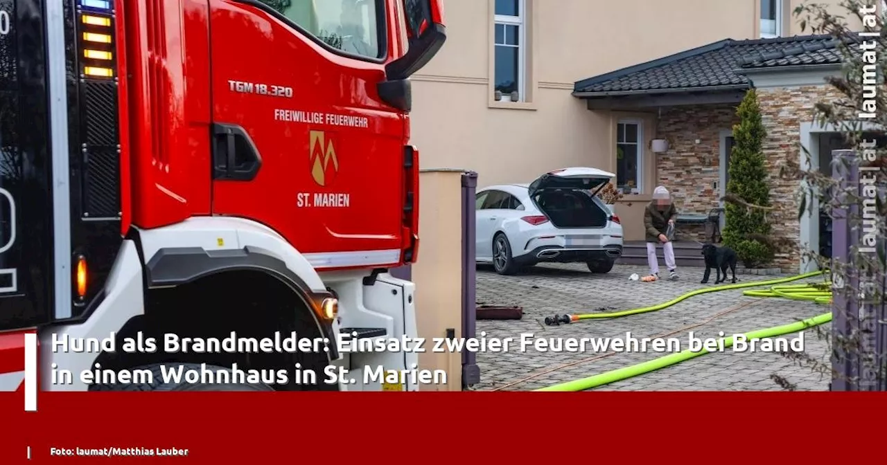 Hund als Brandmelder: Einsatz zweier Feuerwehren bei Brand in einem Wohnhaus in St. Marien