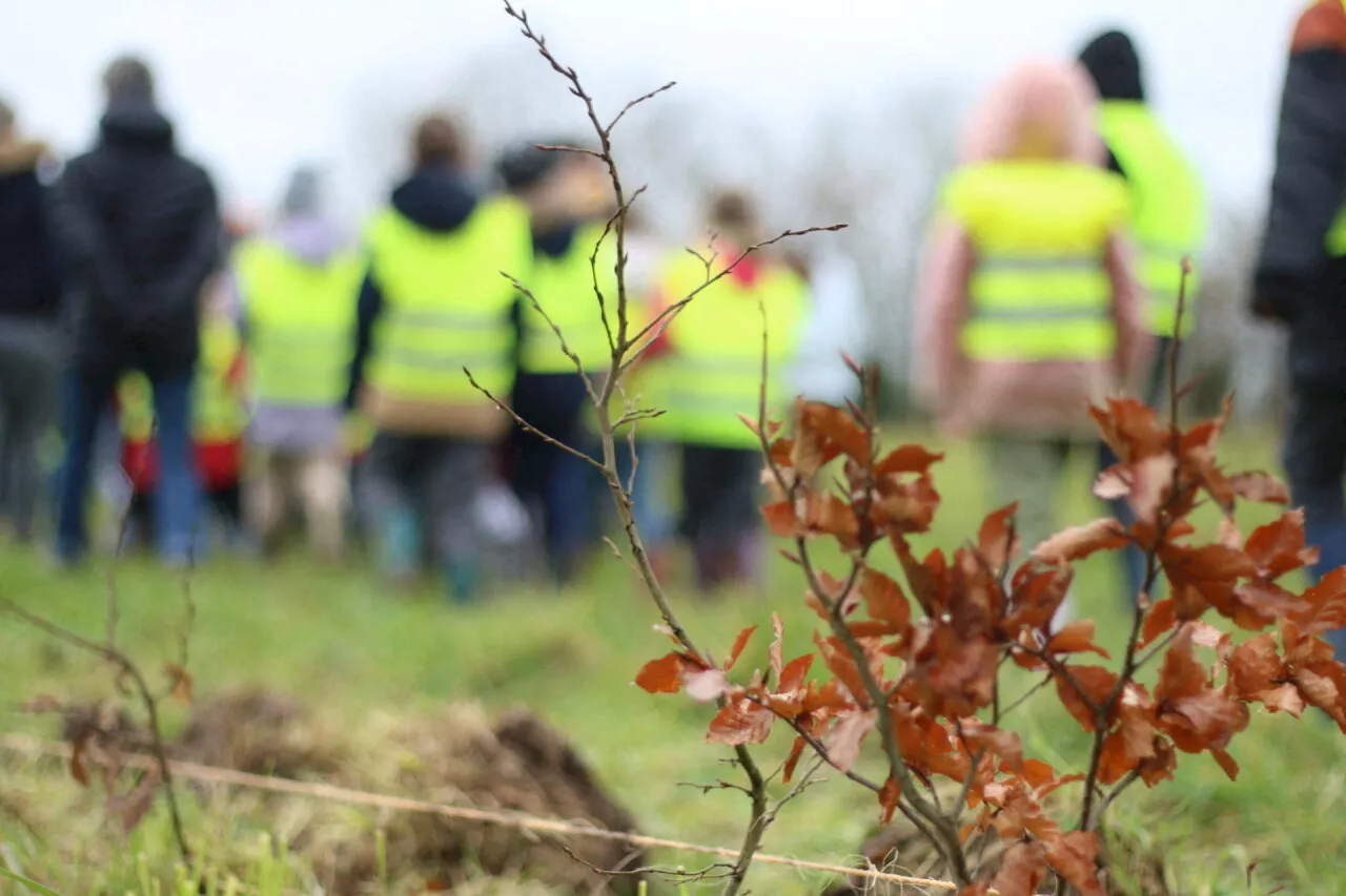 Dans la Somme, les chasseurs apprennent aux écoliers les bienfaits des haies pour la biodiversité