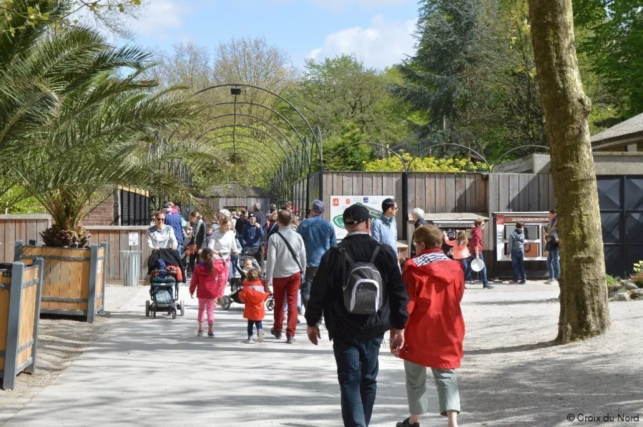 Zoo de Lille rouvre ses portes ce samedi après la fermeture hivernale