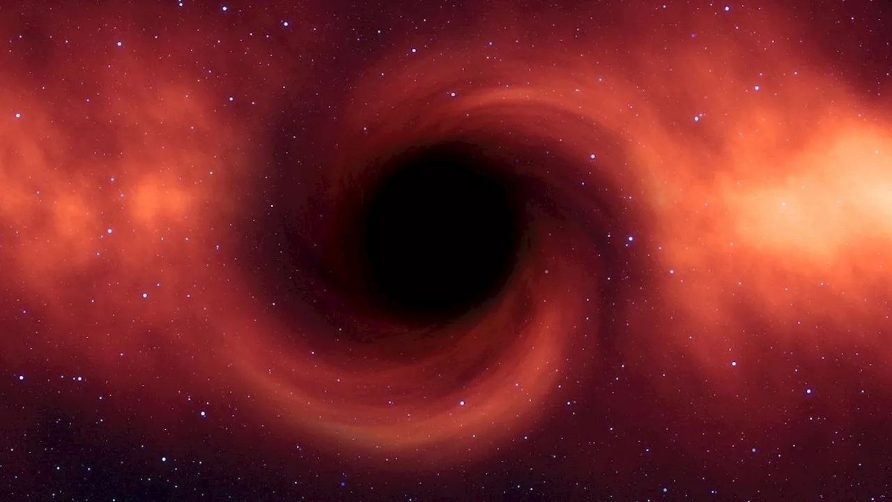 Ultra Self-Interacting Dark Matter Could Explain Early Supermassive Black Holes