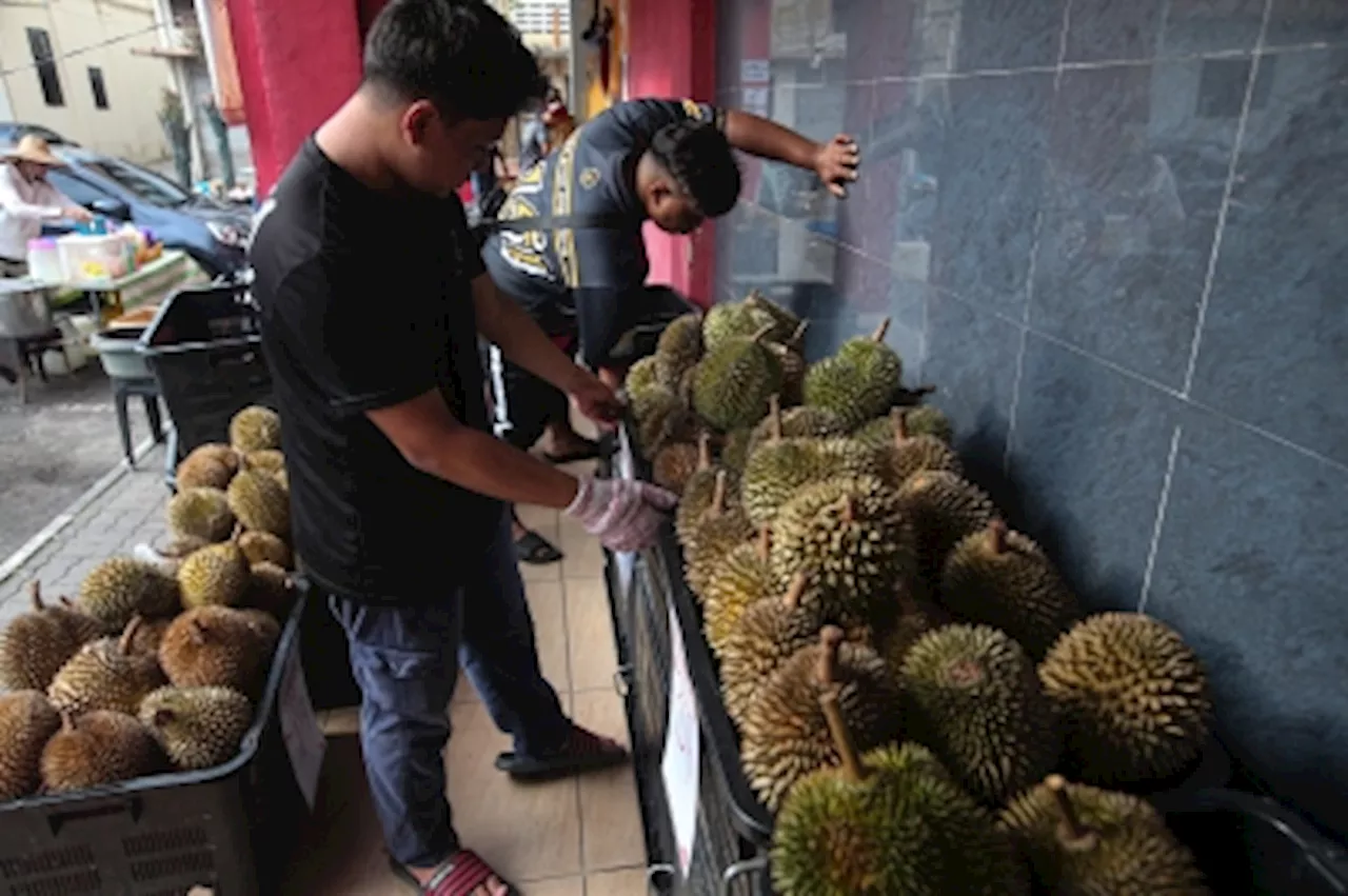 Malaysia to rival Thailand as top fresh durian exporter with China deal, says Fitch unit