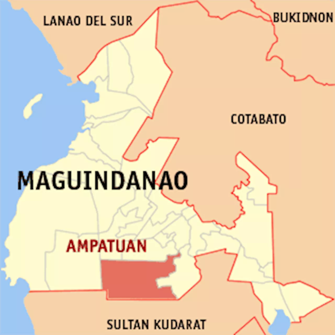 Four Foreigners Killed in Maguindanao Plane Crash