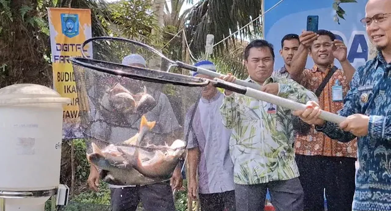 Potensi Besar Budidaya Ikan Air Tawar di Kabupaten Bangka Tengah