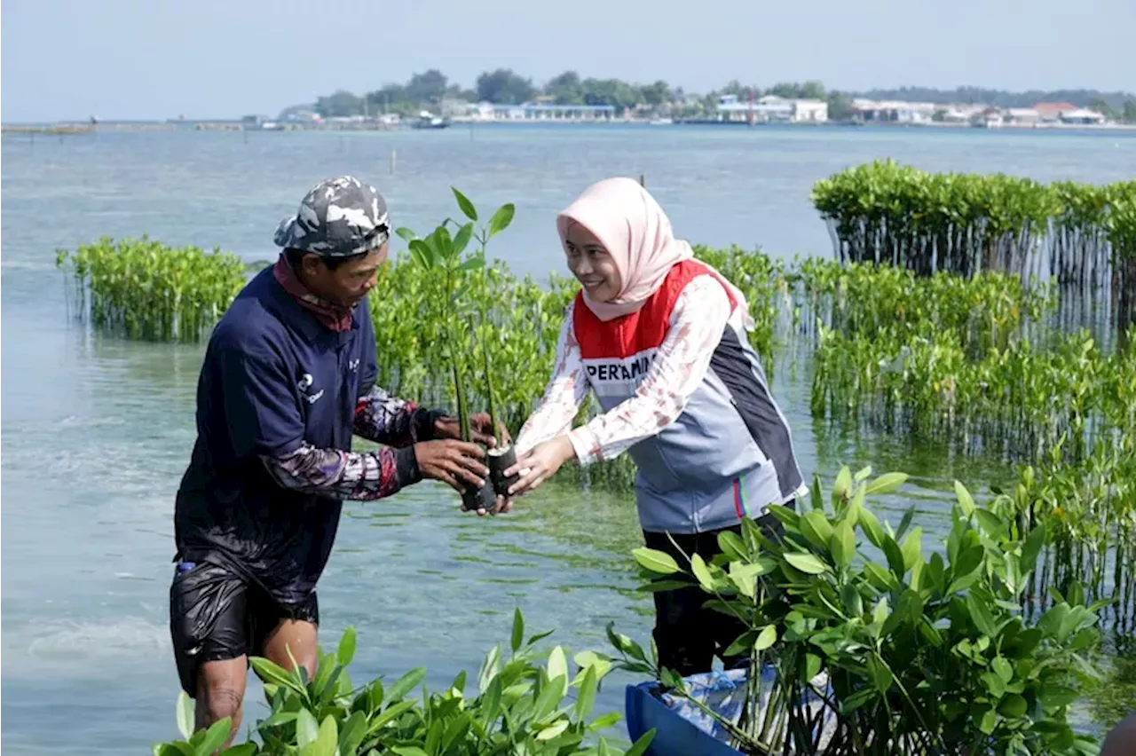 Regional Jawa Berkontribusi dalam Pelestarian Lahan Basah