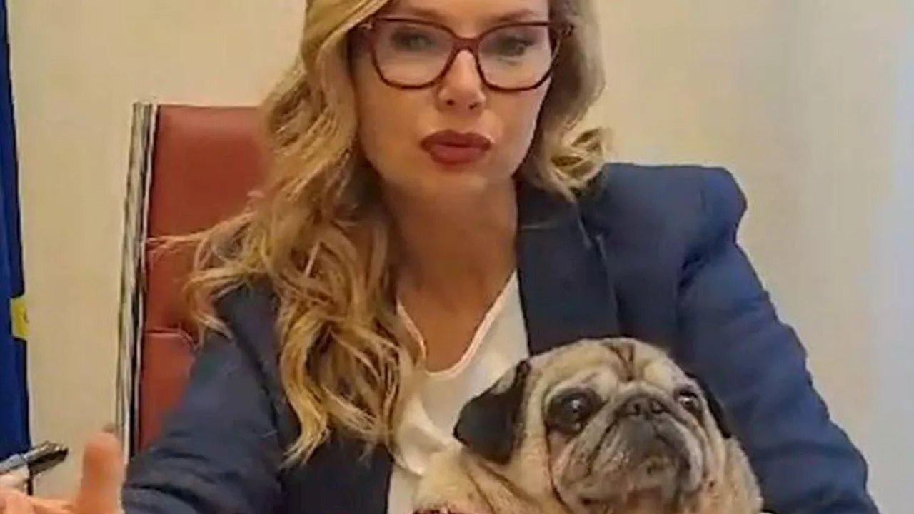 Puggy al Senato: la cagnolina diventa la prima 'compagna di lavoro' in Palazzo Madama