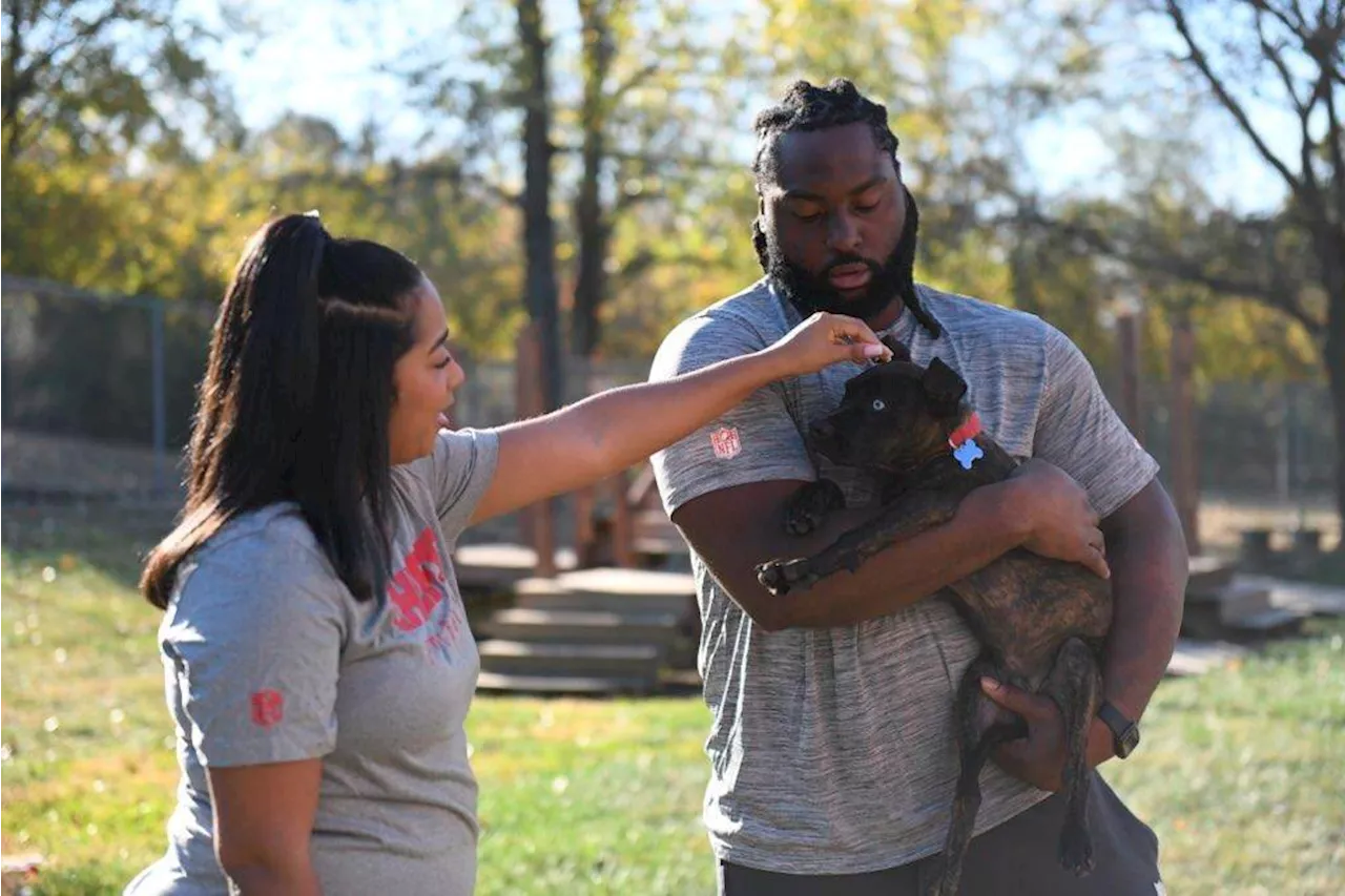 Kansas City Chiefs player becomes a coach to a mutt named Parsnip for the 'Puppy Bowl'