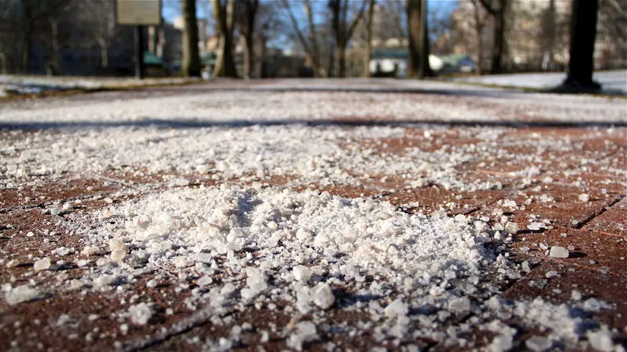 Ahead of freezing rain, Chicago residents asked to take it easy on salt