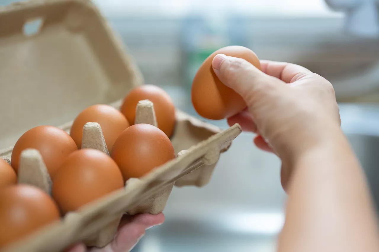 Periodic Cooking Produces Hard-Boiled Eggs with Perfectly Balanced Texture