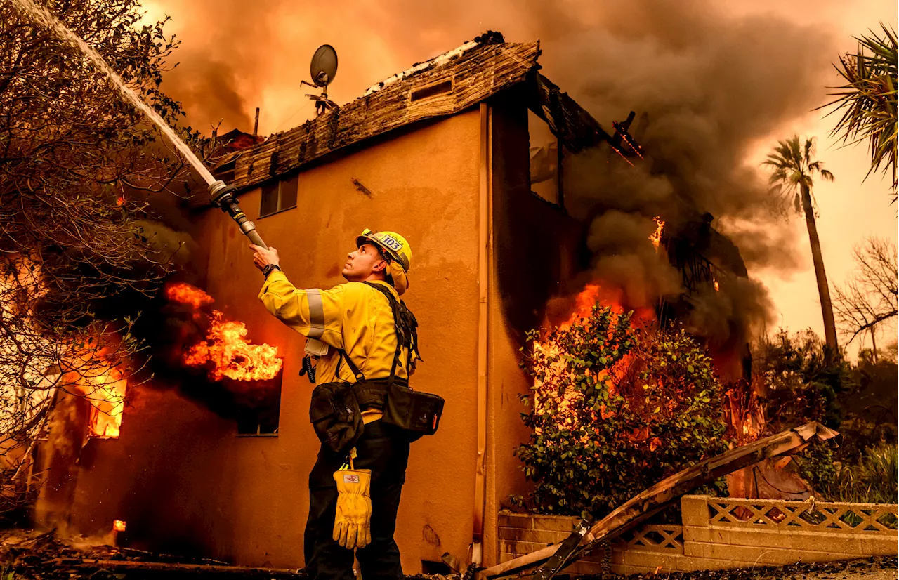 California's 'Regulatory Failure' Blamed for Wildfire Insurance Disaster