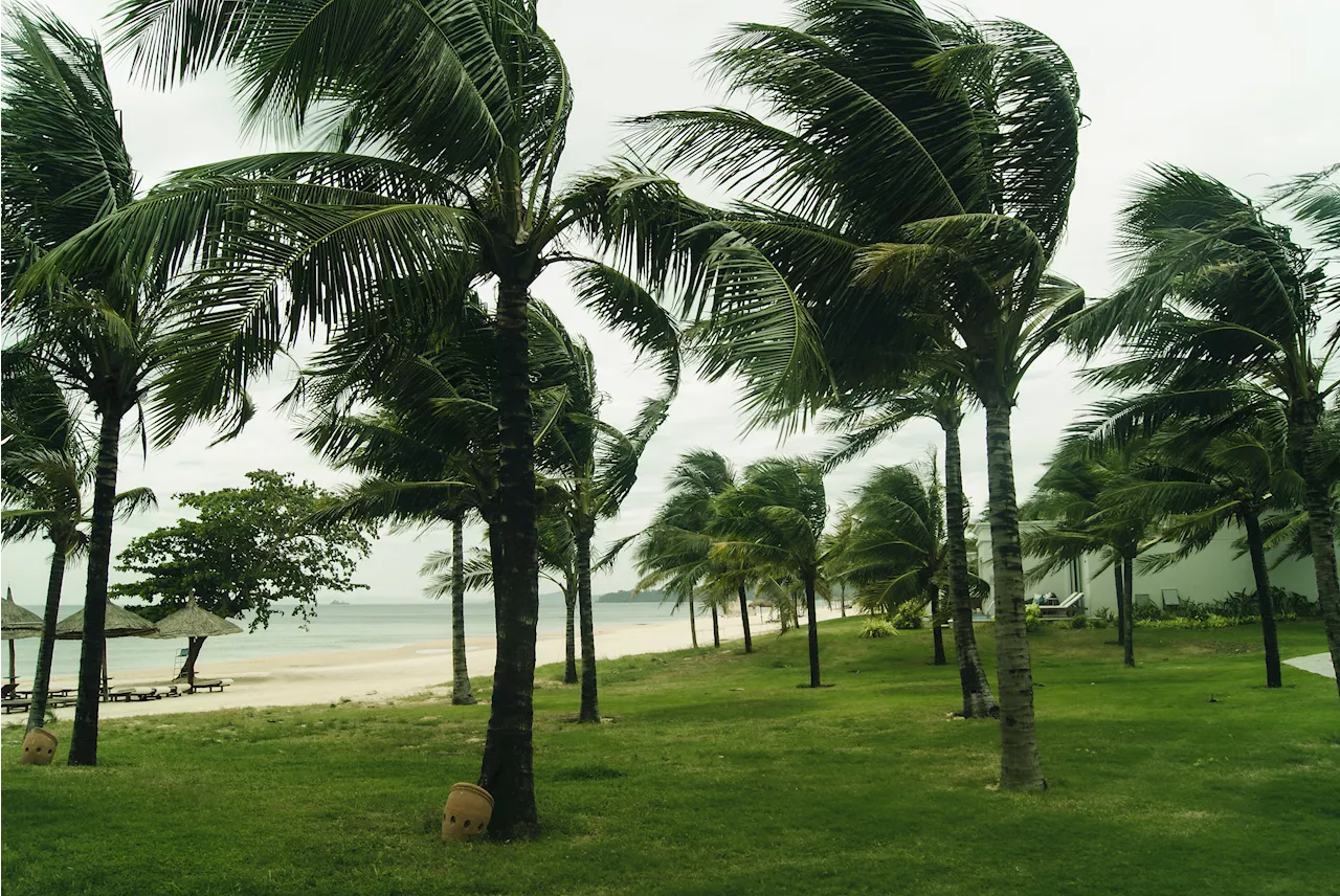 Strong Winds Batter Big Island, Hawaii: Wind Advisory Issued