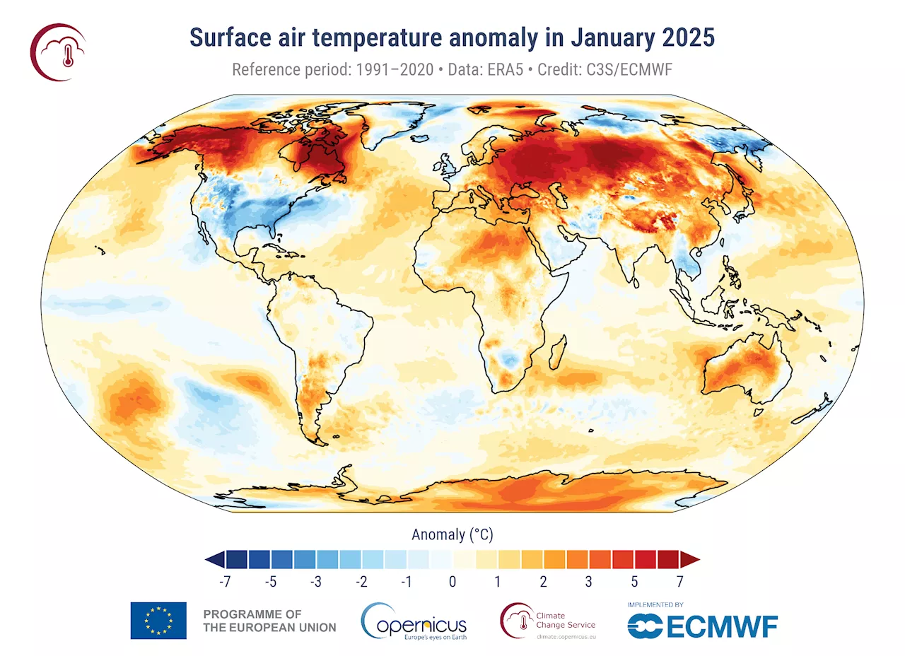 'Terrifying' January Was Hottest in Recorded History, Say Scientists