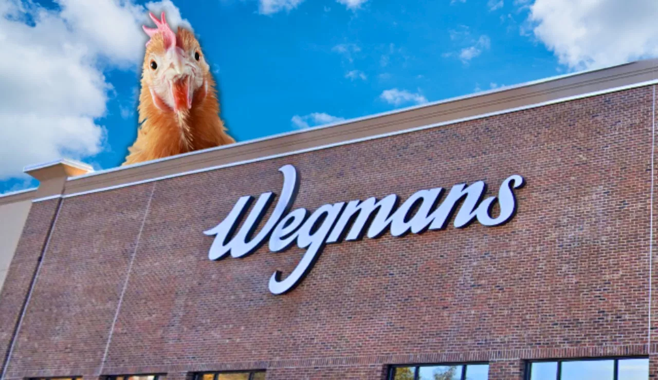 Wegmans defends egg prices amid soaring national costs