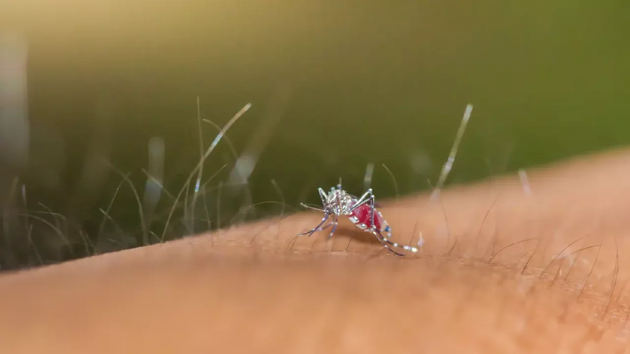 Alerta por aumento de casos de dengue en zonas críticas de Neiva, Huila