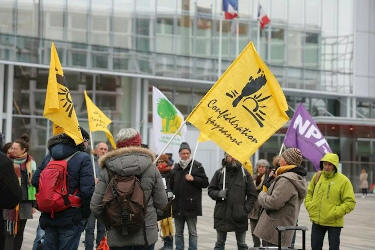 Le suspense des élections agricoles s'achève jeudi