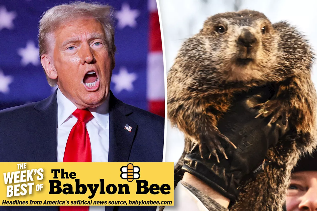 The Best of the Babylon Bee: From Trump's Stanley Cup bet to Punxsutawney Phil's deportation