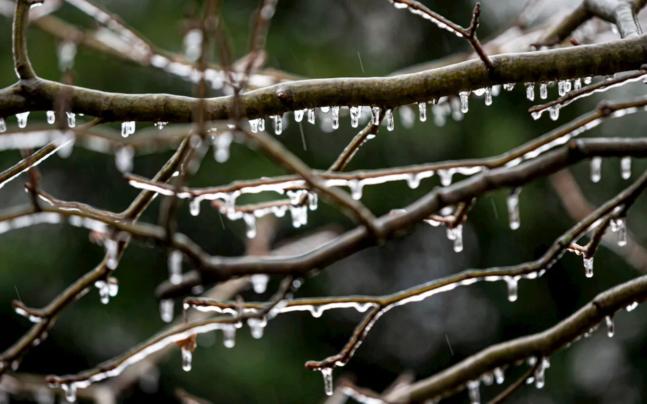 Central Pennsylvania Braces for Winter Storm, Schools and Businesses Adjust