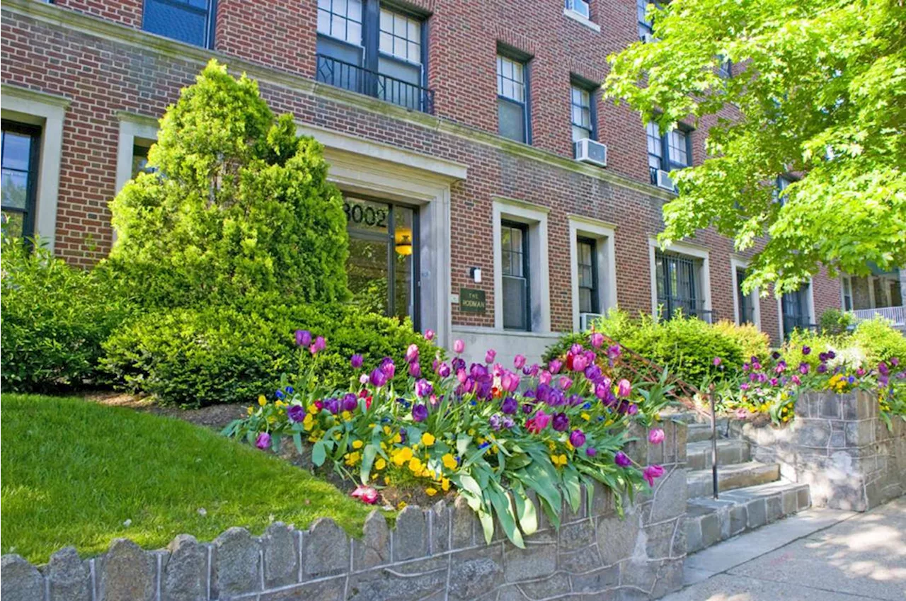 Rodman Apartments: Historic Charm Meets Modern Living in Cleveland Park