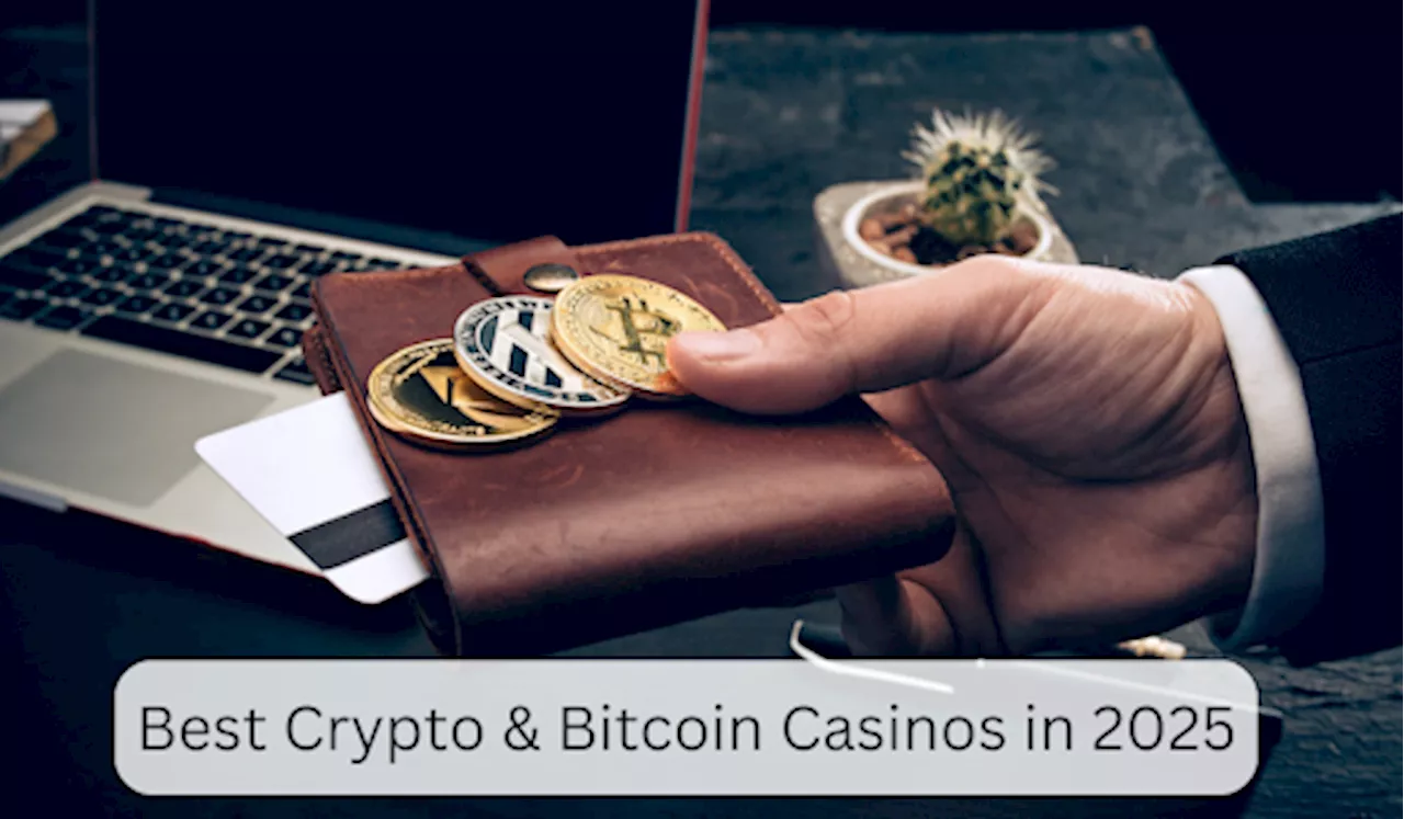 Best crypto and Bitcoin casinos | Check out the bonuses and promotions for February 2025 (updated list)