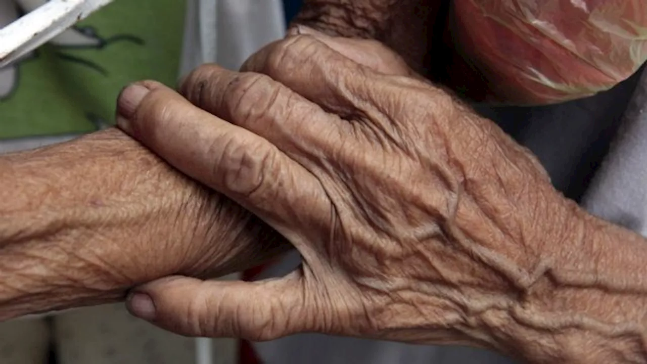 Auditors flag P6B in delayed stipends to thousands of needy senior citizens