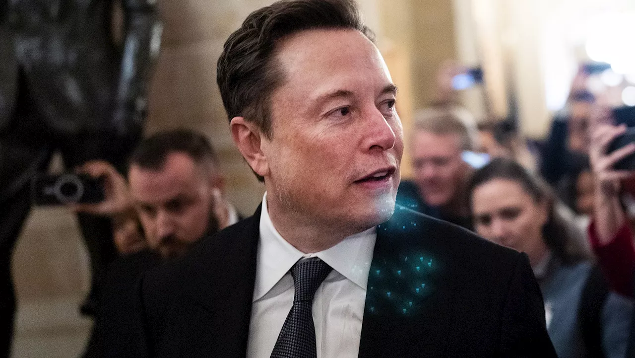 Elon Musk's Shadow Government: Young, Uncredentialed Team Reshapes Federal Agencies