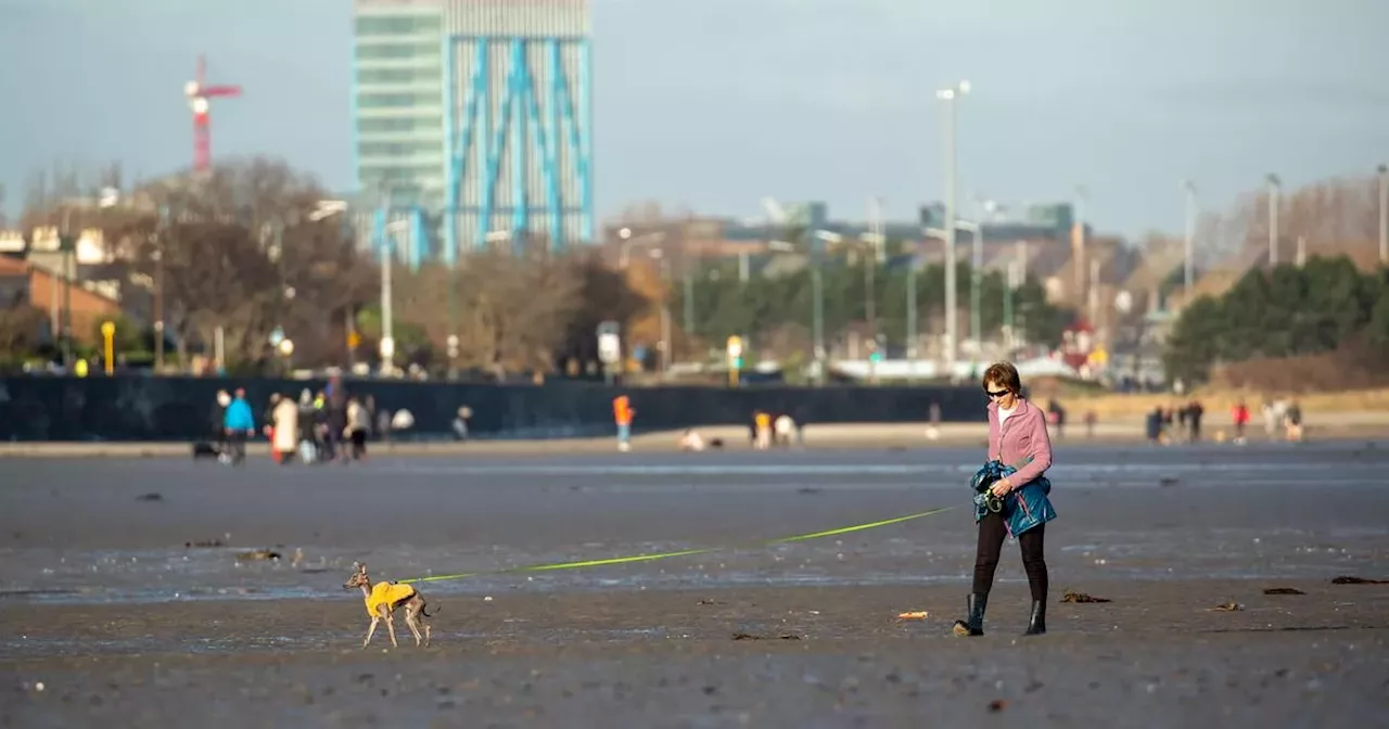 Eight days of no rain as Met Eireann confirm ‘drier than average conditions’