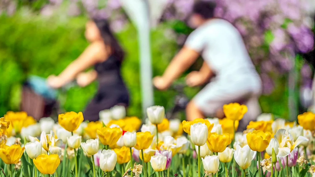 Wo ist der Frühling? Die Suche nach warmen Sonnenstrahlen