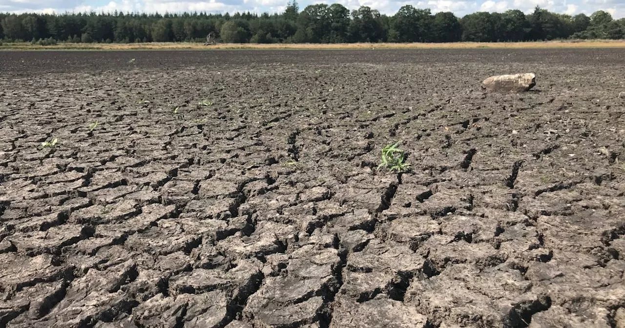 Basisscholen in Drenthe krijgen lessen over weersextremen