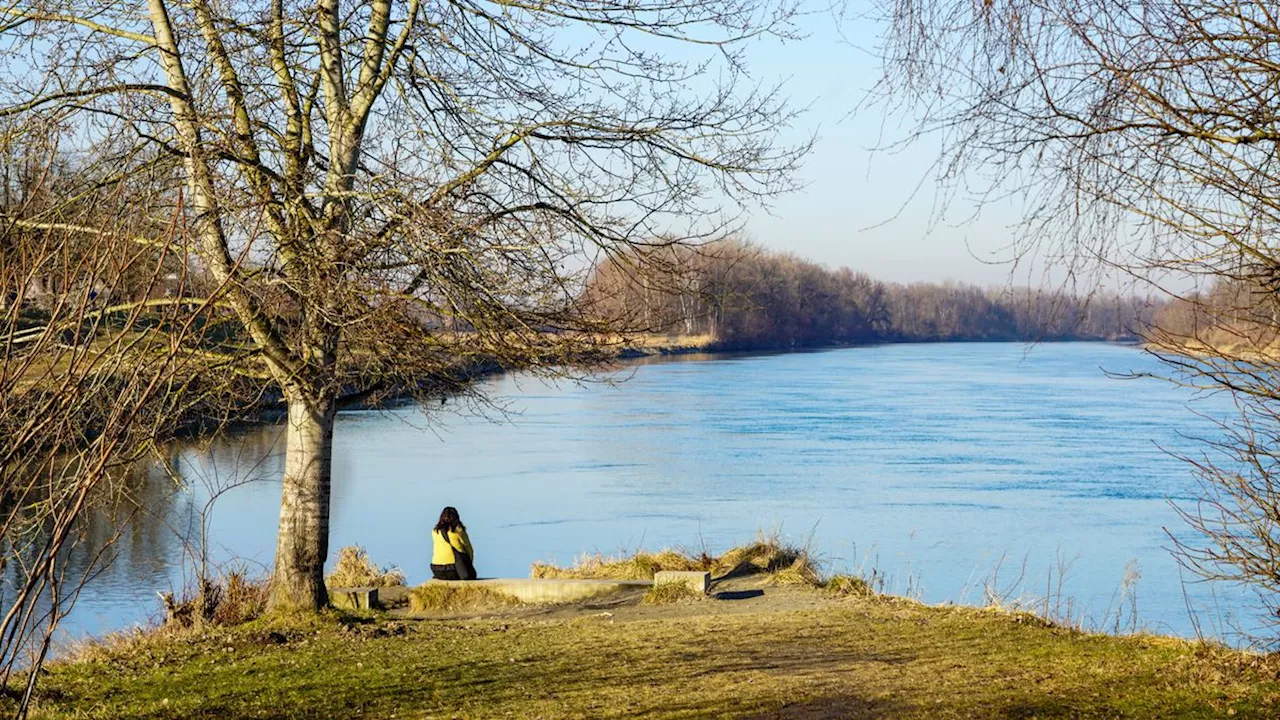 Januar 2025: Rekordwärme trotz La Niña-Effekt