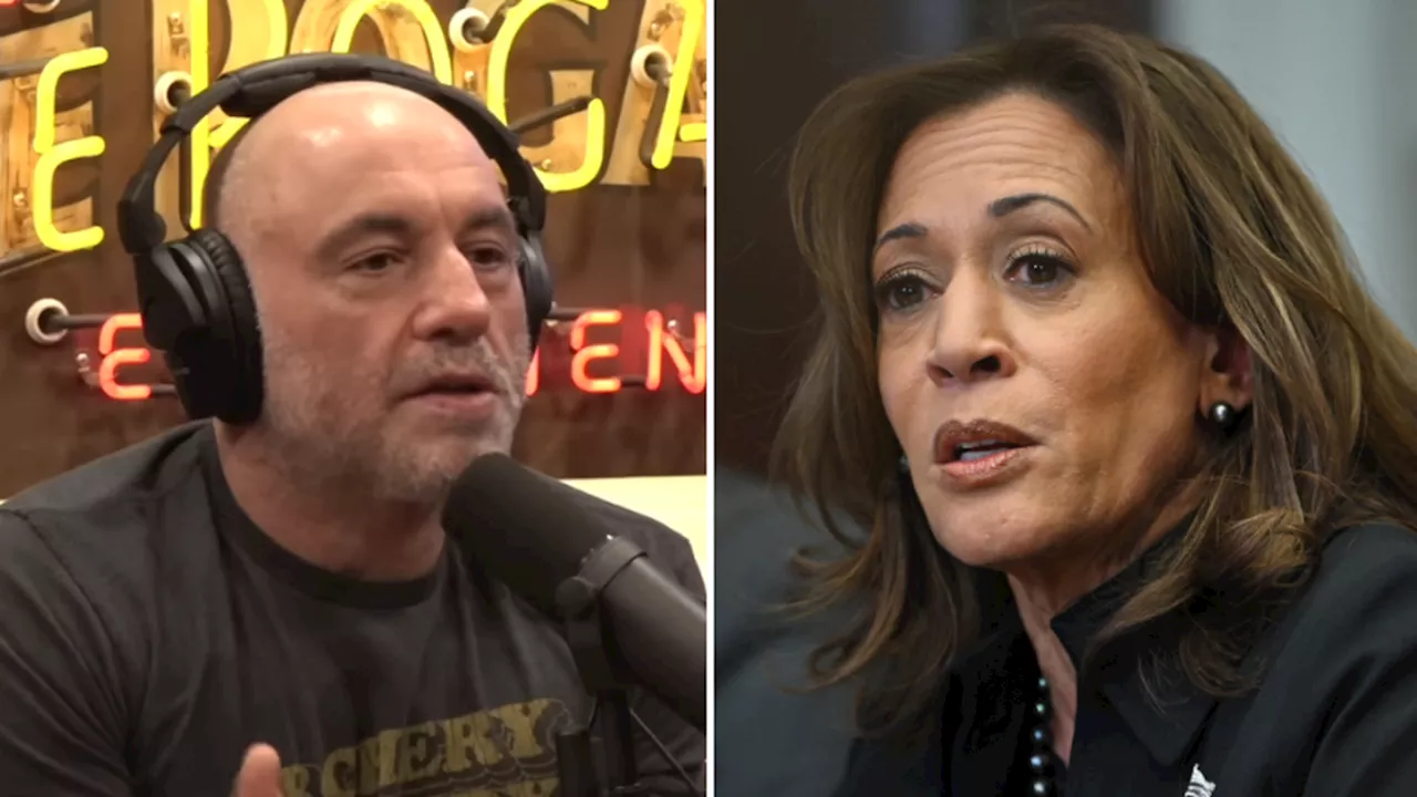 Joe Rogan reveals the real reason Kamala Harris didn't appear on his podcast