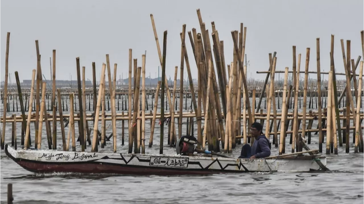 Pemerintah Beberkan Fakta Mengerikan Pagar Laut Bekasi, Data Dimanipulais