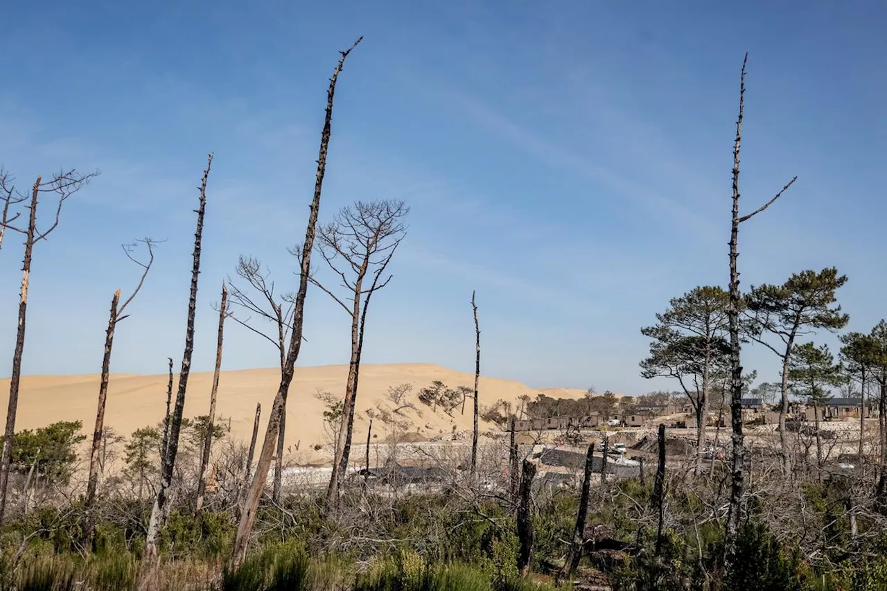 Campings de la dune du Pilat : « Il y a deux poids deux mesures », dénoncent les opposants aux projets de reconstruction