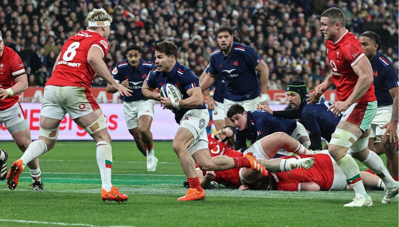 XV de France. « Antoine Dupont sublime le système » : Patrick Arlettaz décrypte le jeu des Bleus