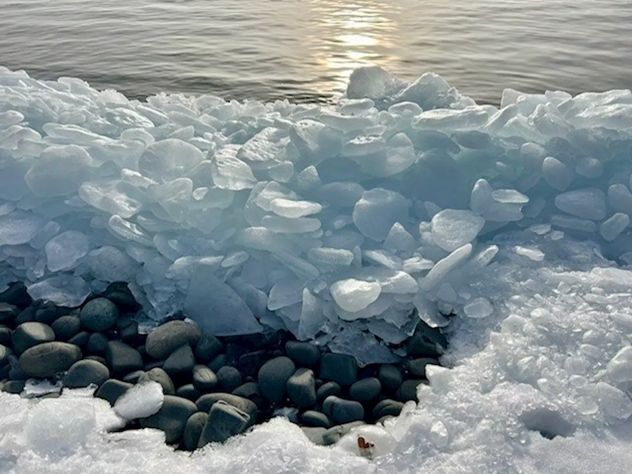 Today in Thunder Bay - February 6, 2025