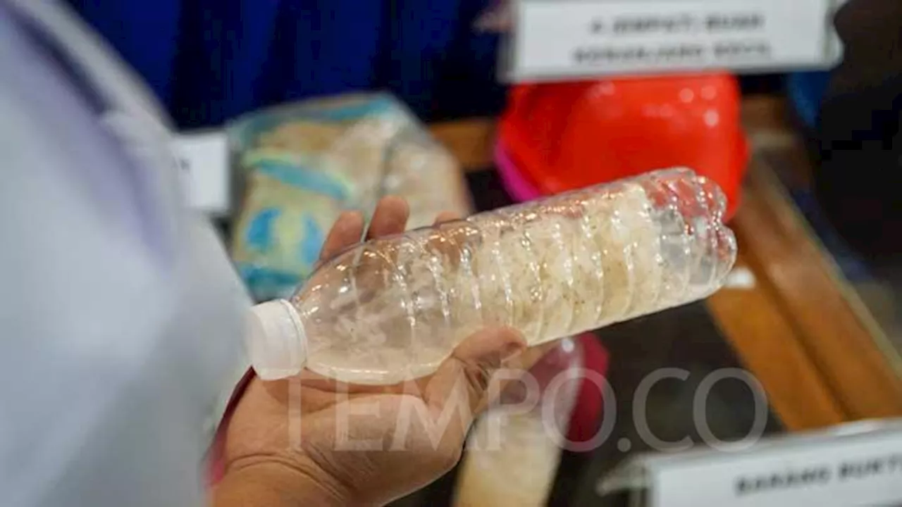 Penyelundupan Benih Lobster di Batam Digagalkan