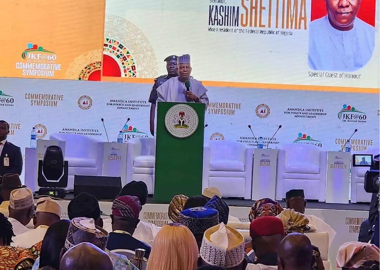 Africa must ditch foreign blueprints for homegrown solutions, says Shettima