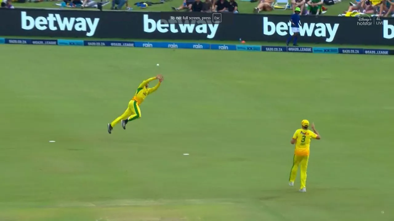 Faf du Plessis Takes Spectacular Catch in SA20 Eliminator