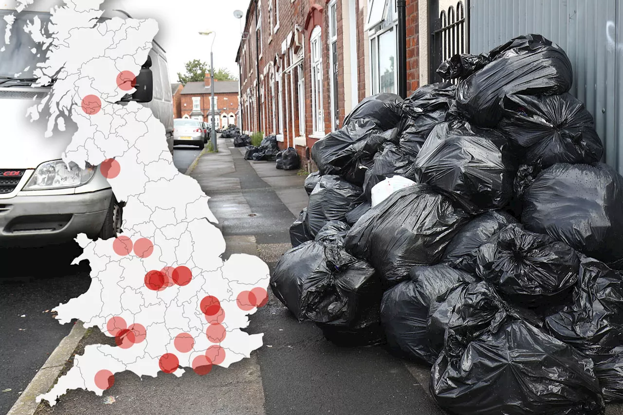 Councils Planning Monthly Bin Collections Despite Tax Hikes