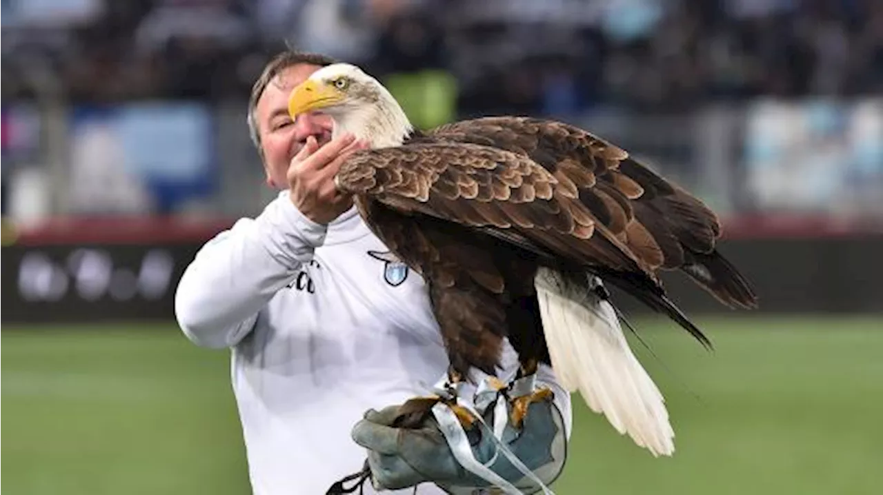 L'aquila 'licenziata' dalla Lazio vola verso Verano Brianza