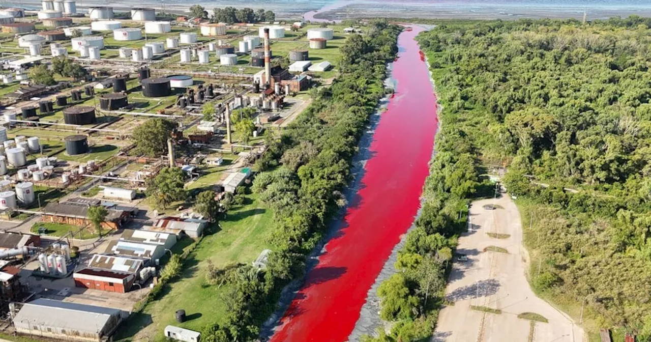 Video: Así se tiñó de rojo un arroyo en Argentina; sorprende el extraño fenómeno