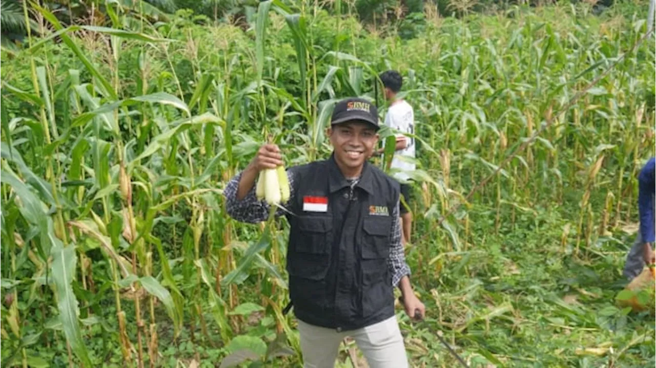 BMH Bantu Pesantren Raih Kemandirian Melalui Program Ketahanan Pangan