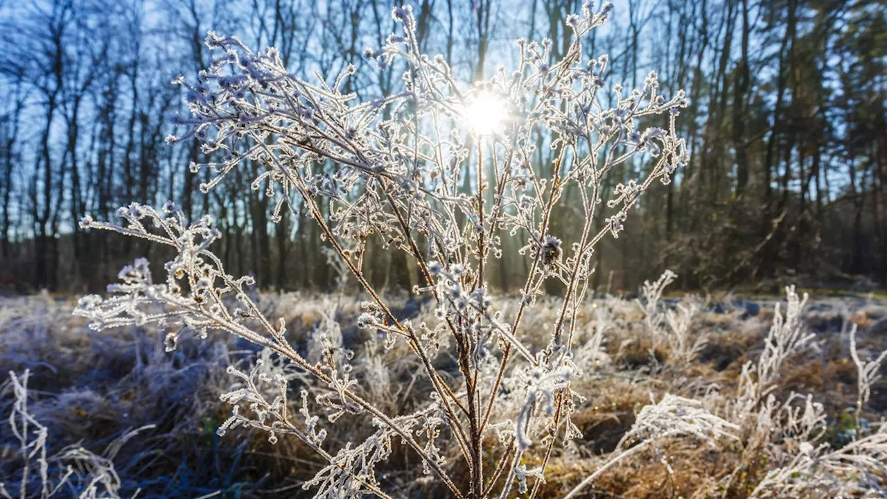 Wetter-Chaos: Frühling oder Winter im Februar?