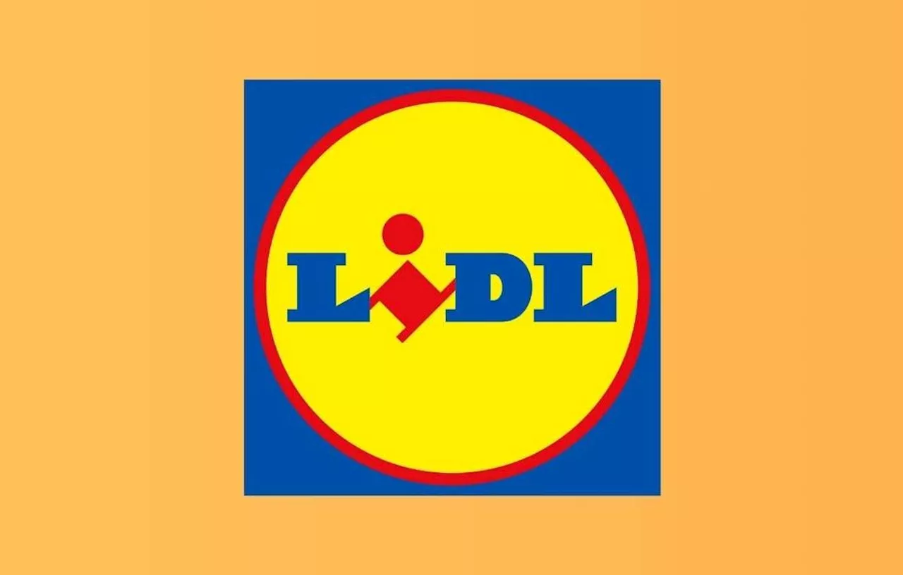 Lidl : Profitez de 6 offres Parkside imbattables pour équiper votre atelier