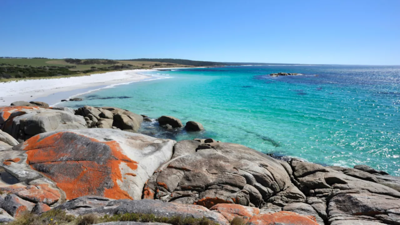 Bay of Fires Crowned Australia's Top Beach for 2025